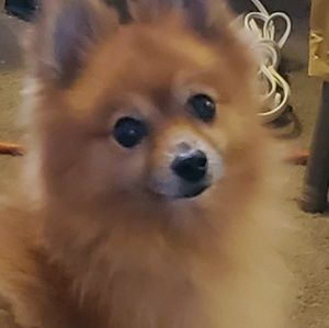 Meet your Posher, Kimberlee